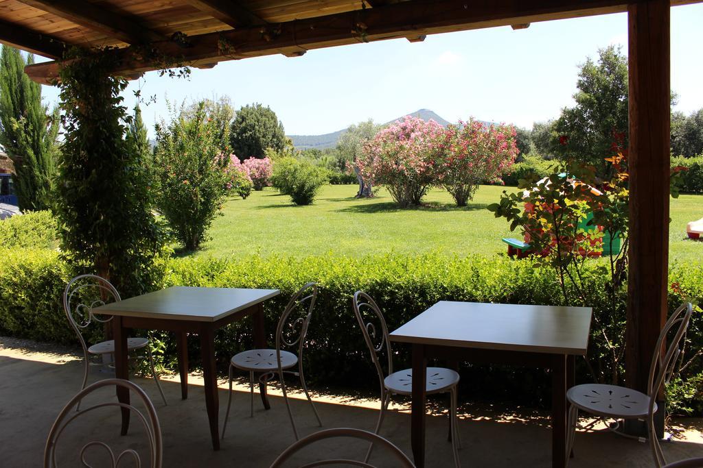 Agriturismo Eucaliptus Bolgheri Exteriör bild