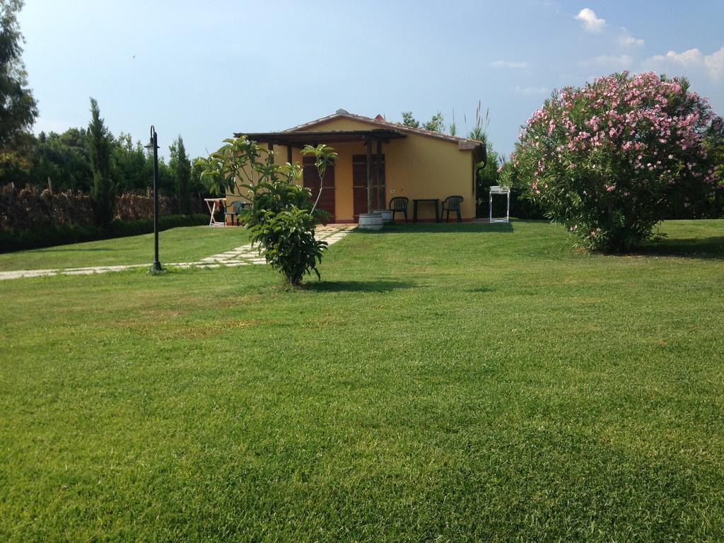 Agriturismo Eucaliptus Bolgheri Exteriör bild