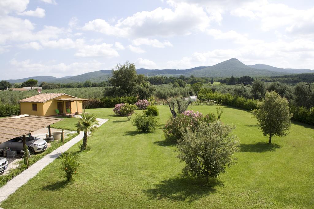 Agriturismo Eucaliptus Bolgheri Exteriör bild